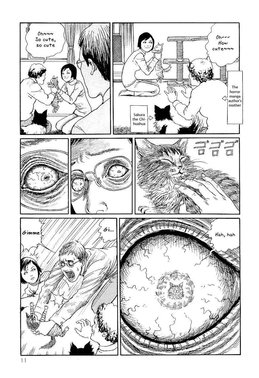 Ito Junji's Cat Diary Chapter 1 15